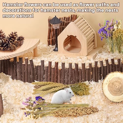 Sukh Natural Hamster Bedding Sprays - Foraging Habitat Decor Cage Accessories, Hideout Enrichment for Dwarf & Syrian Hamsters, Gerbils, Mice and Other Small Animals - Image 5