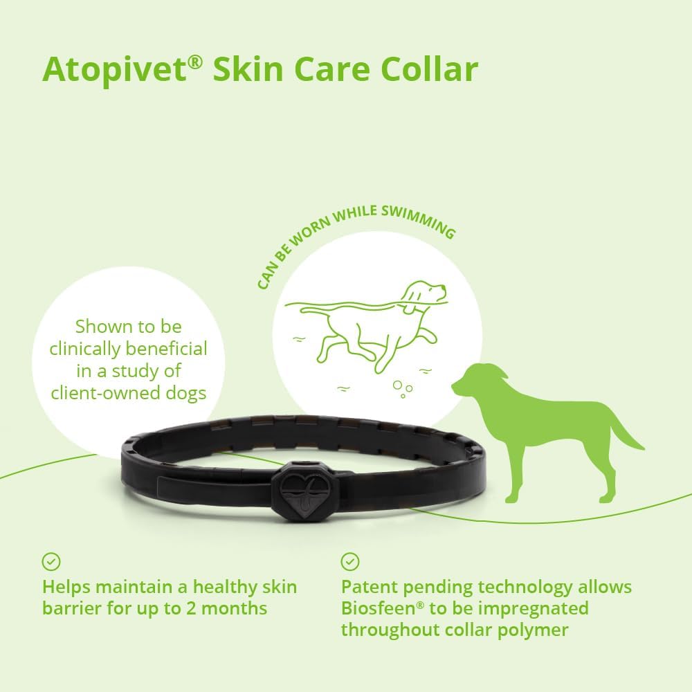 Dark brown segmented pet skin care collar with heart shaped emblem for large dogs.