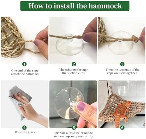 Reptile climbing accessory mounted with suction cups in a terrarium