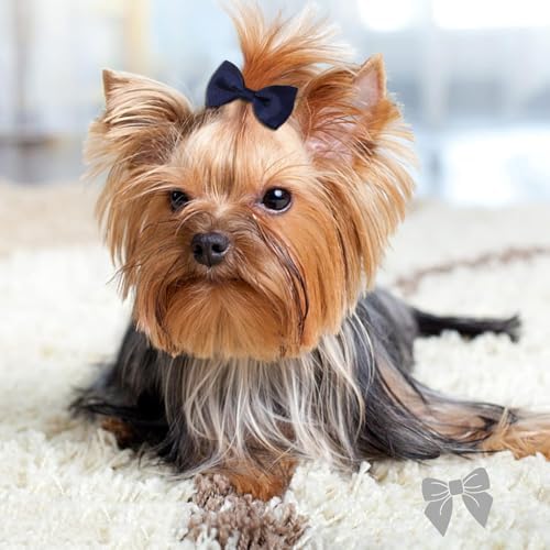 Pet grooming accessories with rubber bands