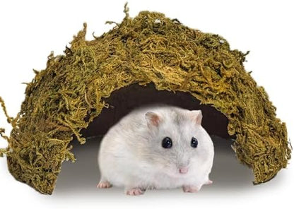 kathson 1Pcs Hamster Hideout, Moss Coconut Hut, Pet Hiding House, Hamster House for Mouse Mice Rat Guinea Pigs Reptiles - Image 2