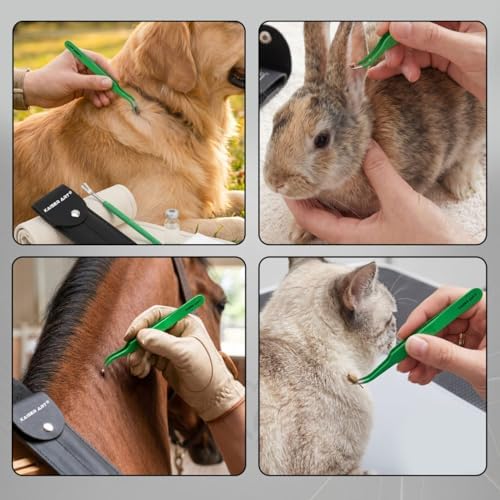Compact travel kit for tick removal on dogs and cats