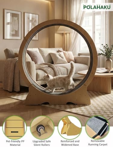 POLAHAKU premium imported cat exercise machine packaged securely for delivery