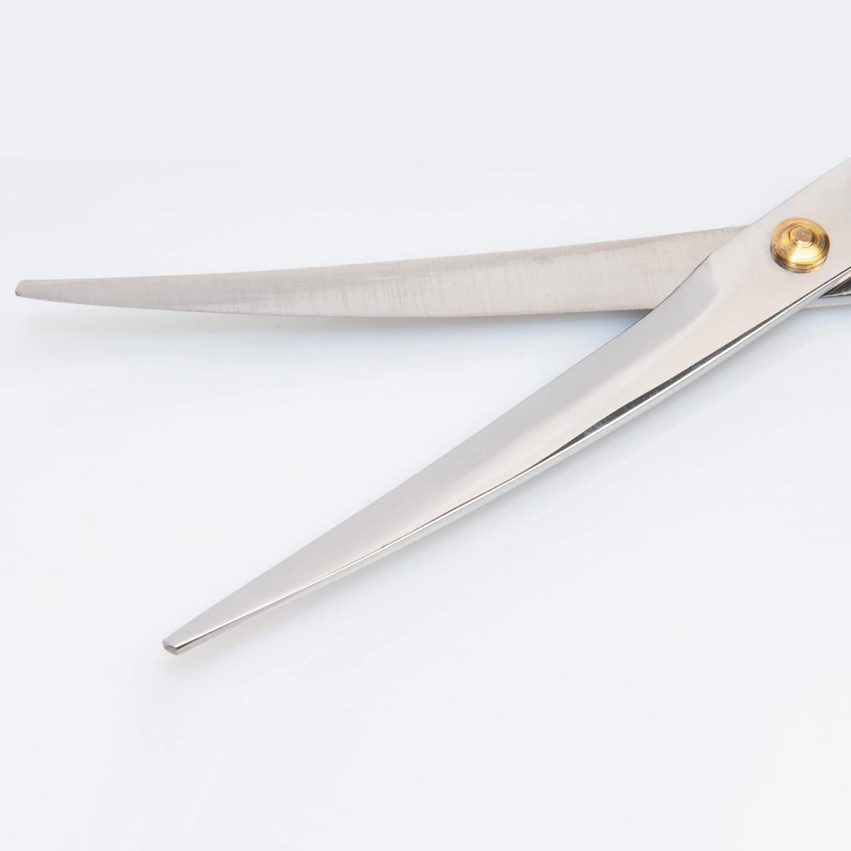 Diane premier pet shear positioned for precision facial trimming