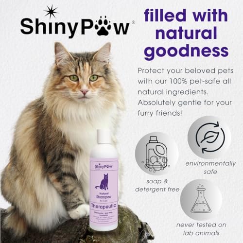 Gentle coconut-derived pet shampoo lathering on a cat.