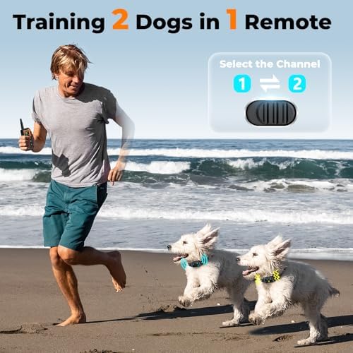 Dual dog training device with beep vibration and shock modes