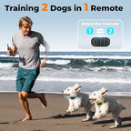 Dual dog training device with beep vibration and shock modes