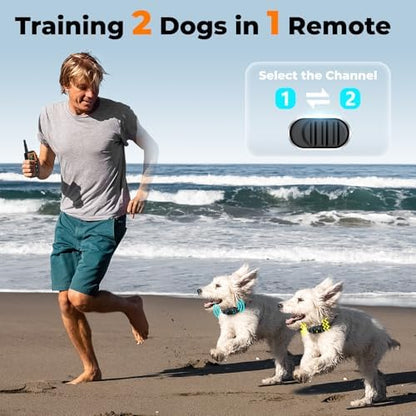 Dual dog training device with beep vibration and shock modes