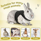 Pettom rabbit harness and lead set packaged for small animal walking