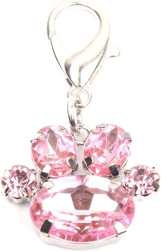 Xksrwe pet jewelry charm attached to a cat collar