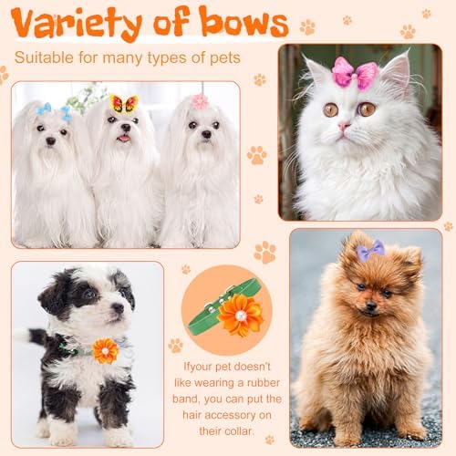 Close up of butterfly design pet grooming bows