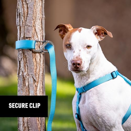Nite Ize SlideLock Pet S-Biner being used to connect two dog leashes together for walks.