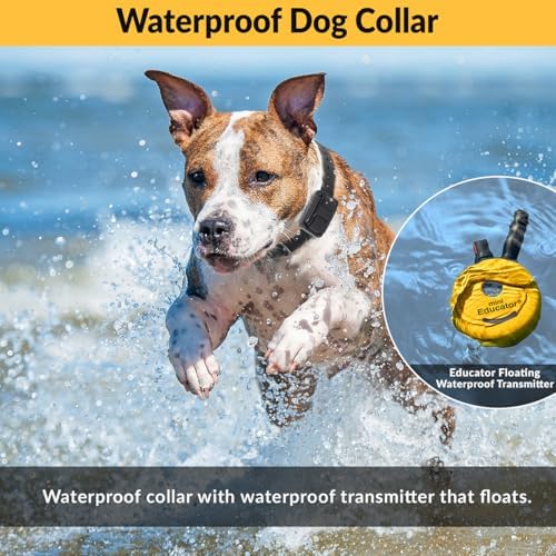 Mini Educator ET-300 waterproof dog training receiver with tracking night light feature