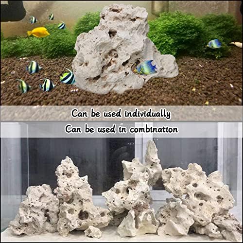 Hamiledyi 5.5 pound package display of natural white holey rocks.
