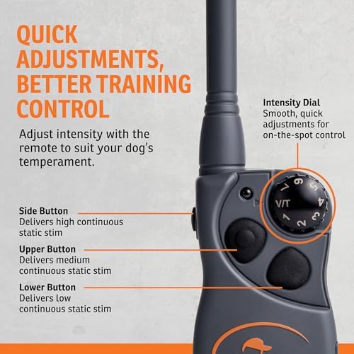 Close up of SportDOG 425X contact points and charging port