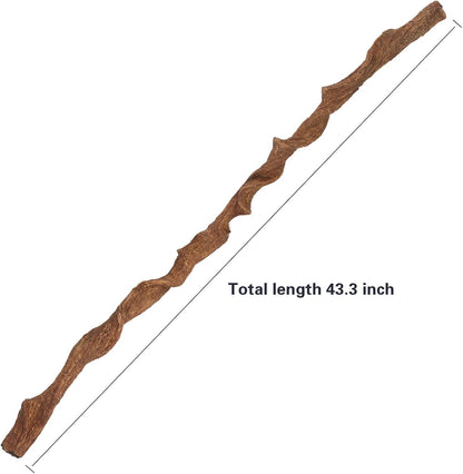 Full length view of the 43.3 inch bendable reptile vine