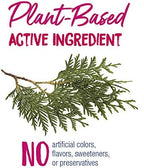 Boiron Thuja 30C bonus pack packaging showing 240 quick-dissolving pellets.