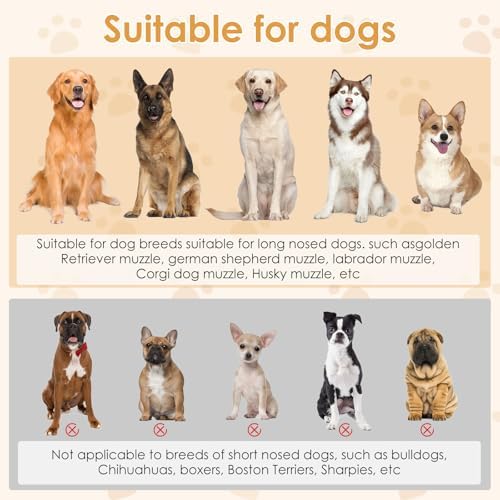 KnJuLee dog muzzle three-point fixation system