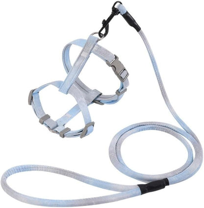 Soft nylon texture of gradient cat walking gear