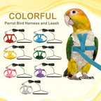 PETAXCELL anti bite parrot training leash highlighting the non slip rubber handle