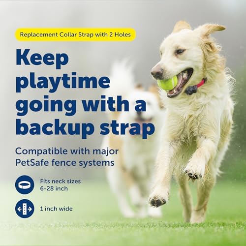 PetSafe collar strap showing adjustable slider and buckle