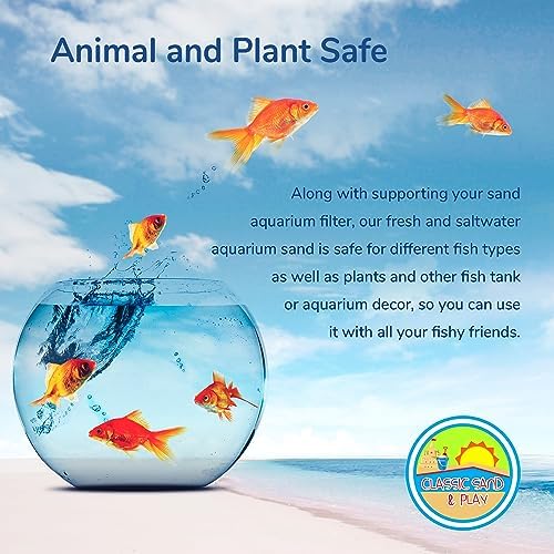 Saltwater aquarium setup with Classic Sand And Play