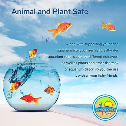 Saltwater aquarium setup with Classic Sand And Play