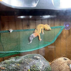 Adoggygo reptile habitat accessory mesh net