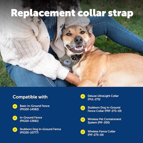 PetSafe 1 inch replacement collar strap packaging
