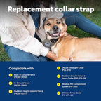 PetSafe 1 inch replacement collar strap packaging