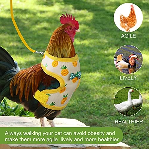 Side angle of the colorful fruit print pet harness ready for outdoor use