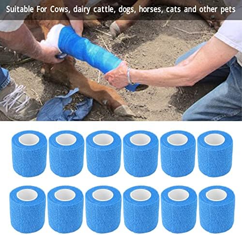 Twelve pack arrangement of Gavigain blue livestock bandages for hoof care.