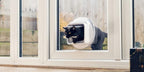 PETQUALITY pet accessory set illustrating the stainless steel split rings attached to the protective plastic casing