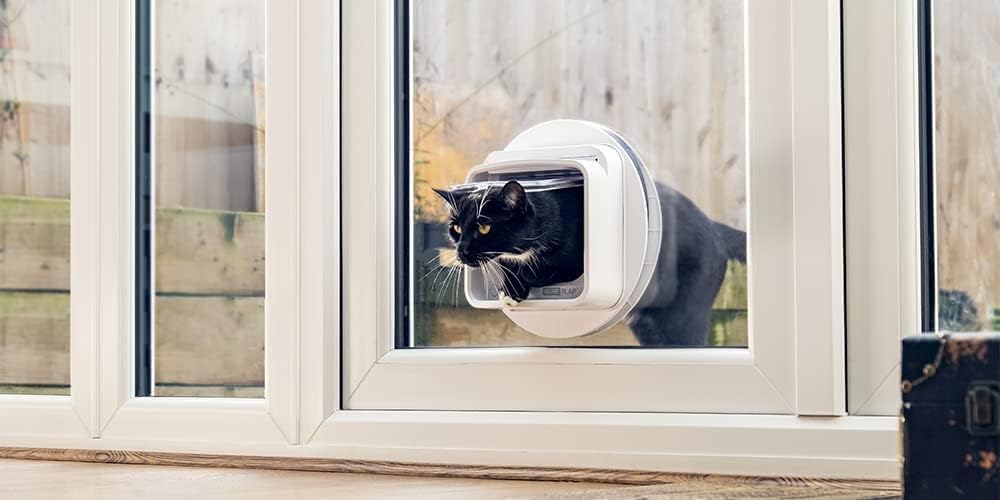 PETQUALITY pet accessory set illustrating the stainless steel split rings attached to the protective plastic casing