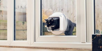 PETQUALITY pet accessory set illustrating the stainless steel split rings attached to the protective plastic casing