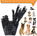 Ewinever five piece pack premium pet safety protection muzzles laid out side by side