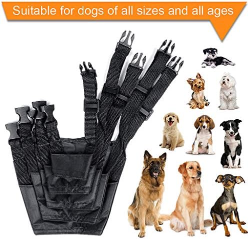 Ewinever five piece pack premium pet safety protection muzzles laid out side by side