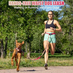 Jetog dog leash bungee detail and shock absorption