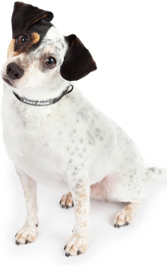 Metal Free Airport Travel Collar Leash Set Designed for Small Pets who fit Under seat of Airplane Metal Free to Speed up The Airport TSA Inspection Process (Small 7-10 inch) - Image 9