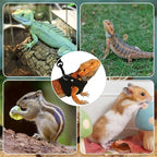 Asofelk chameleon and gecko compatible leather harness vest dimensions overview