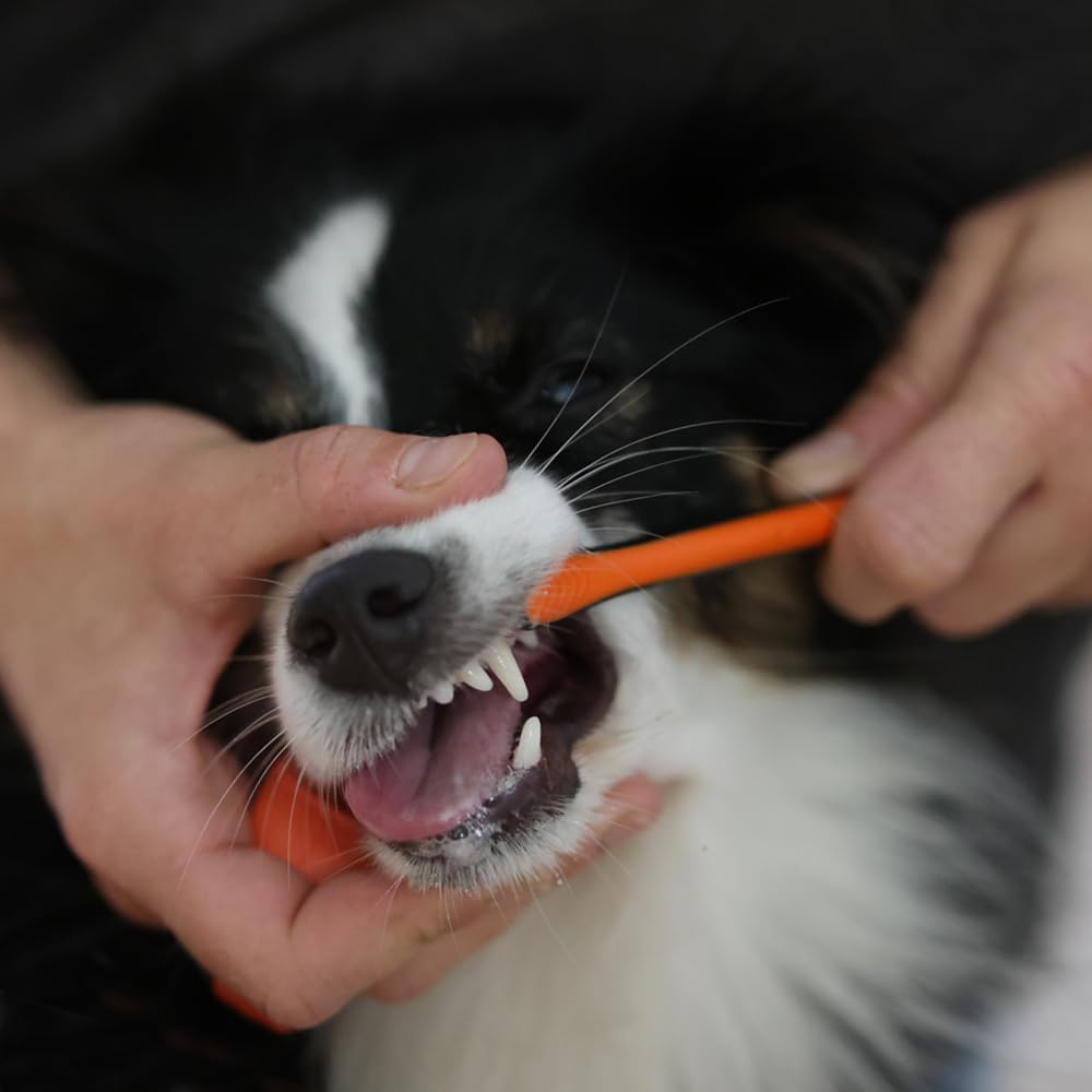 Paw Ready Pet Toothbrushing Assistant for Puppies' Dogs and Cats Allows You to Brush Your pet's Teeth Without Constantly Worrying About Getting Bitten. (Blue, Small) - Image 9