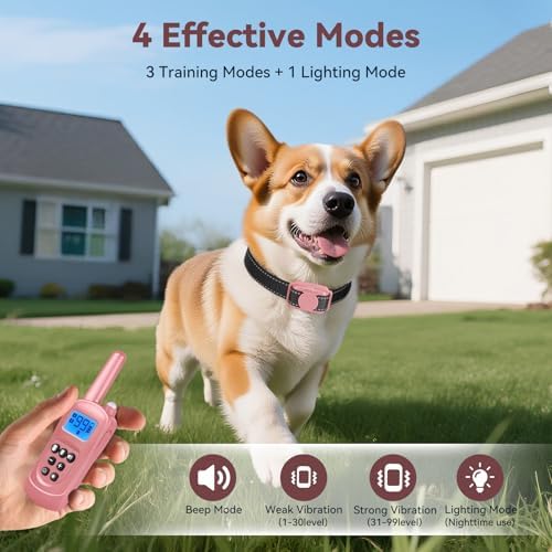PetVogue waterproof vibration collar being splashed with water to demonstrate its durable weather-resistant build.