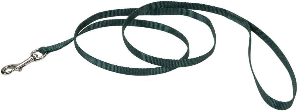 Coastal Pet Single-Ply Dog Leash - Sturdy Pet Leash - Comfortable & Stylish - Resists Fraying - Vibrant & Fade-Resistant Color - Neon Pink, 3/8" x 6' - Image 14