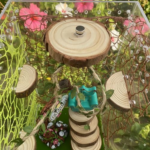Jumping Spider Enclosure Accessories Kit, Habitat Decor-3 Wood Ledges & 1 Climbing Rope - Image 4