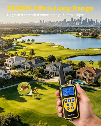 Dog training remote control with LED screen