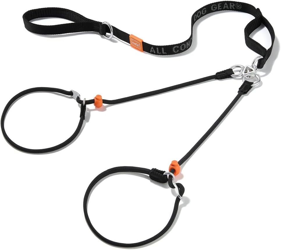 Howgo Double Slip Leash Slip Lead with Two Handles| Dual Dog Slip Lead for 2 Dogs,360 degrees Swivel No Tangle | Dog Training Collar | Double Clip Leash Coupler and Splitter (Multicolor, 6FT) - Image 10