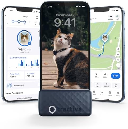 Tractive Cat GPS tracker attached to a safety collar