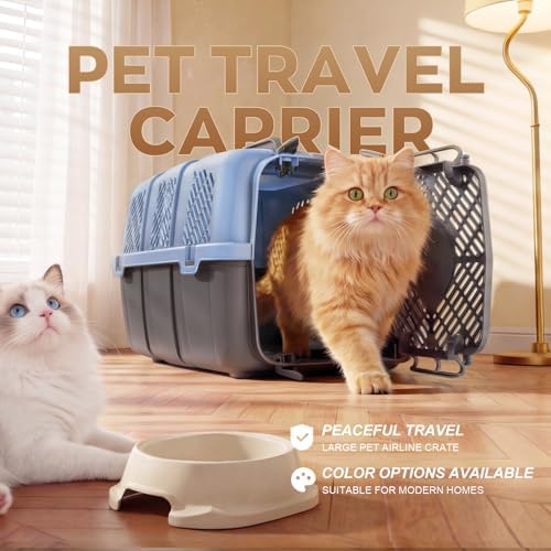 URey small pet transport cage showing detachable top and bottom sections separated