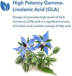 Allergy Research Group GLA Borage Oil ingredients panel