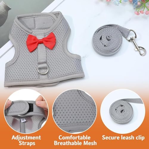 Close-up of the adjustable elastic stickers and safety buckle on the PSPORT small pet harness